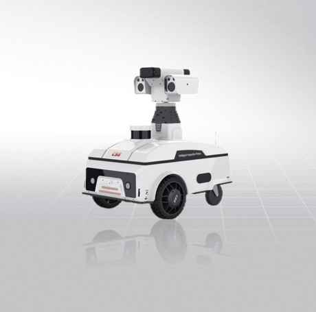 PIR-DS400